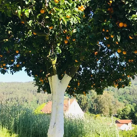 Casa 1883 Prázdninový dům *