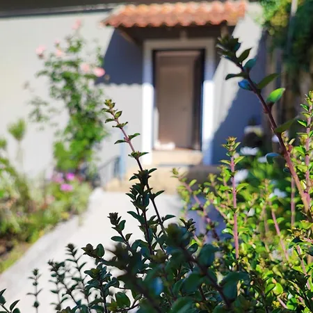 Casa 1883 Prázdninový dům *