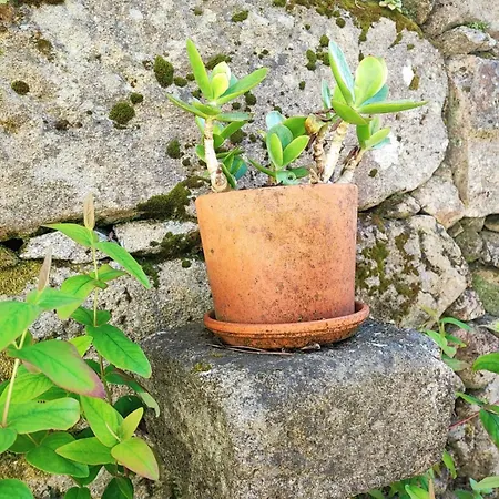 Prázdninový dům Casa 1883 *