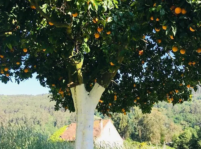 Casa 1883 Prázdninový dům *