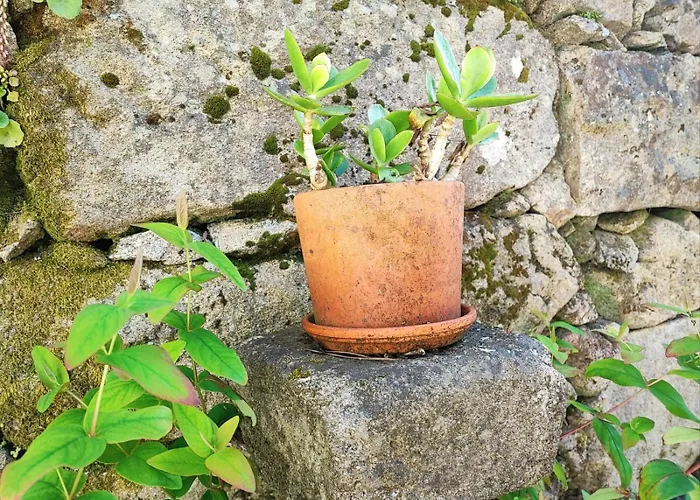 Prázdninový dům Casa 1883 *